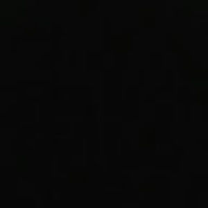 Meet your Posher, Carmen